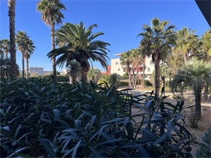 t2 à la vente -   34200  SETE, surface 41 m2 vente t2 - UBI448399838